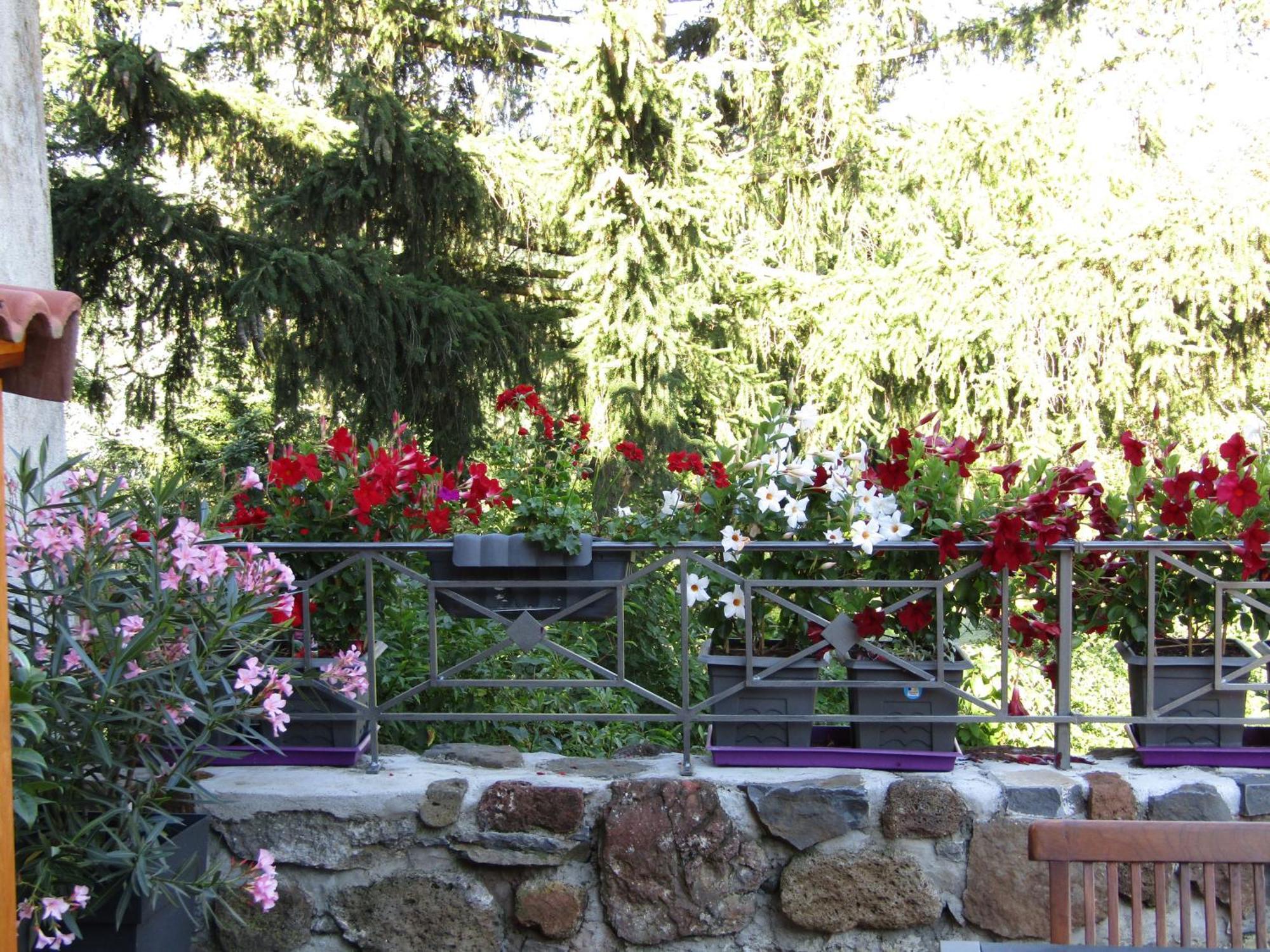 Grande Maison Au Coeur D'Un Village Historique Avec Terrasse Et Wifi Inclus - Fr-1-582-308 Saint-Vidal Екстериор снимка